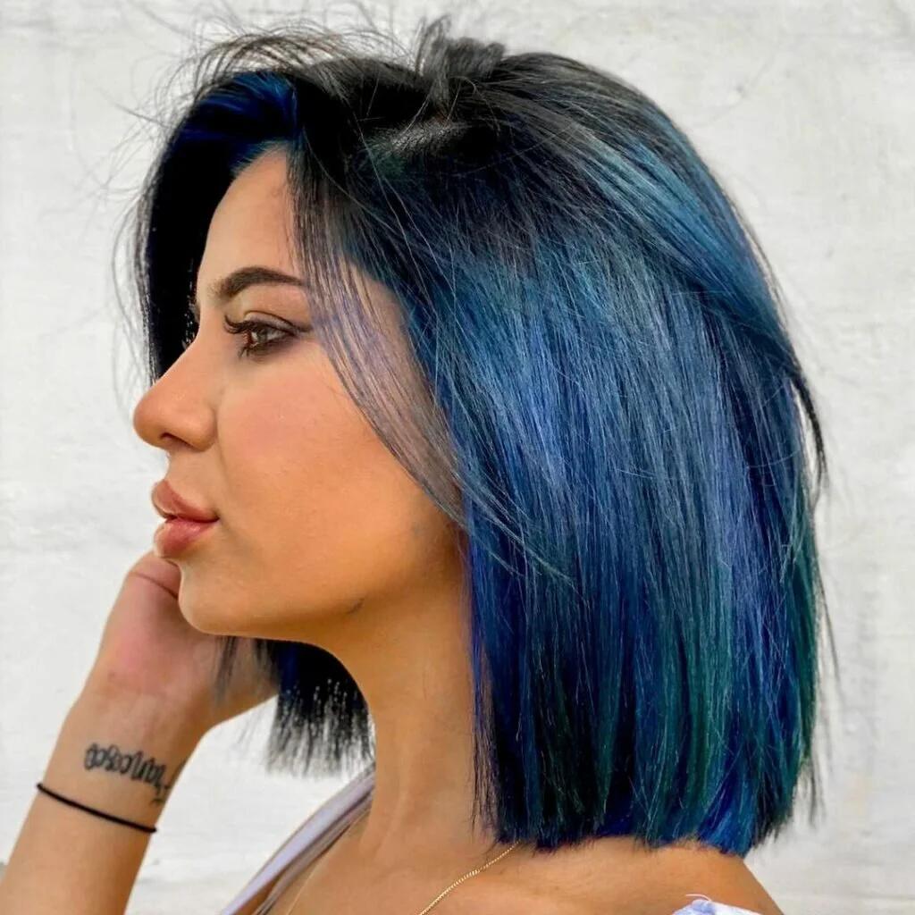 Blue and Black Short Hair